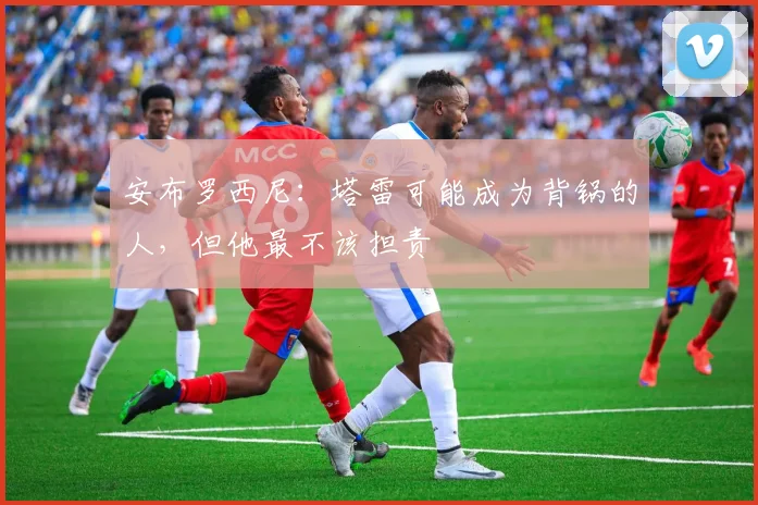安布罗西尼：塔雷可能成为背锅的人，但他最不该担责